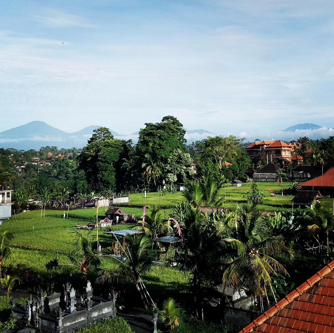 Hibiscus Cottages Ubud  Bagian luar foto