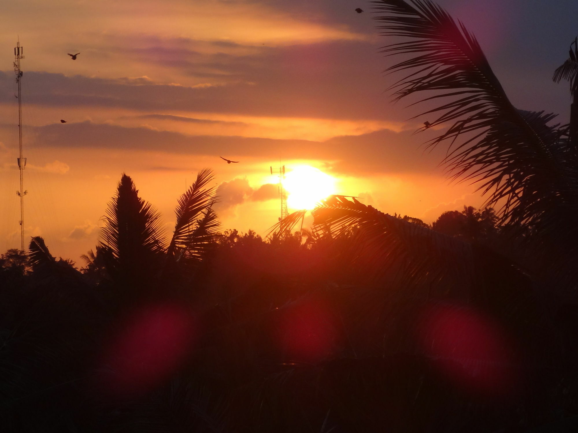 Hibiscus Cottages Ubud  Bagian luar foto