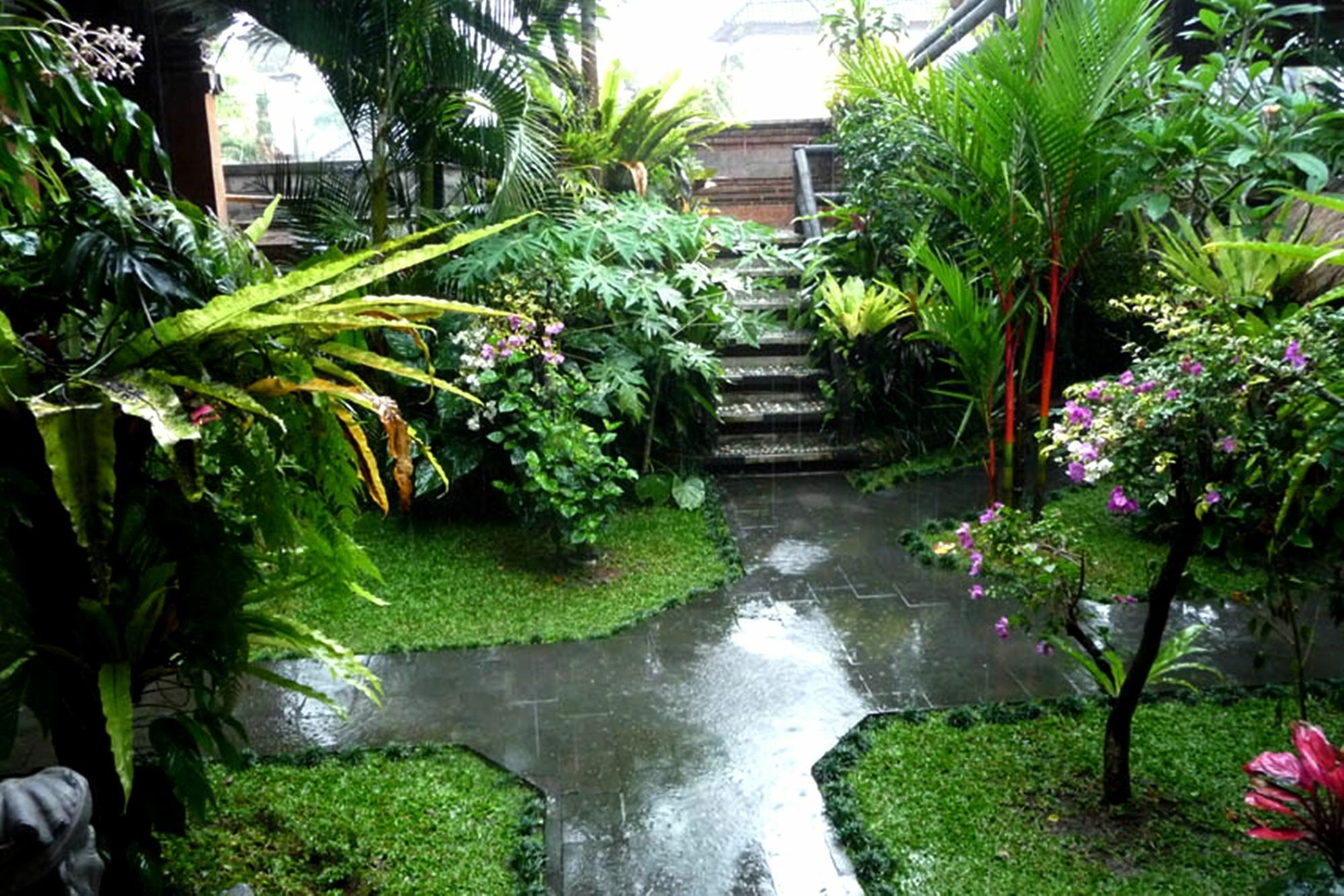 Hibiscus Cottages Ubud  Bagian luar foto