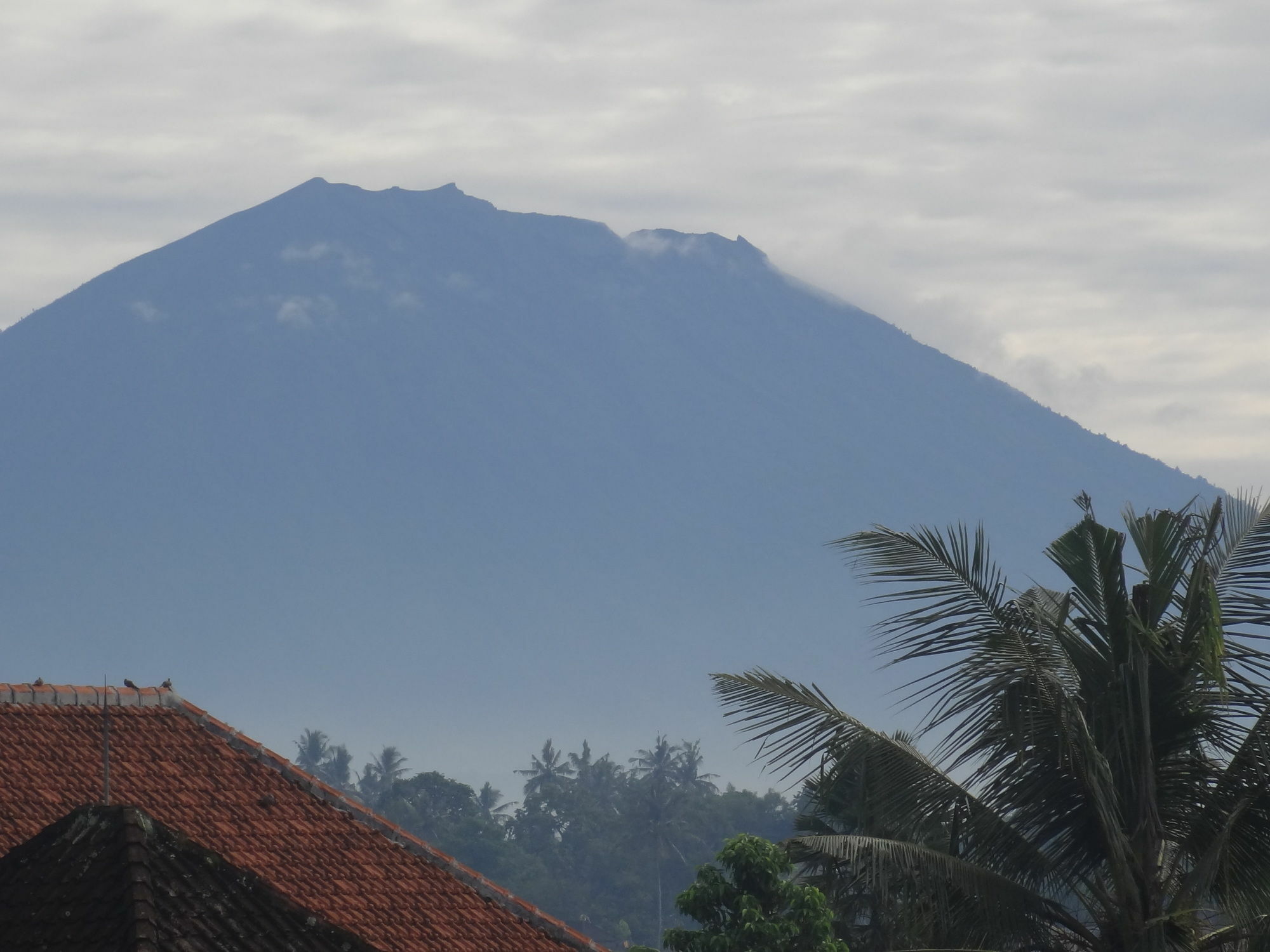 Hibiscus Cottages Ubud  Bagian luar foto