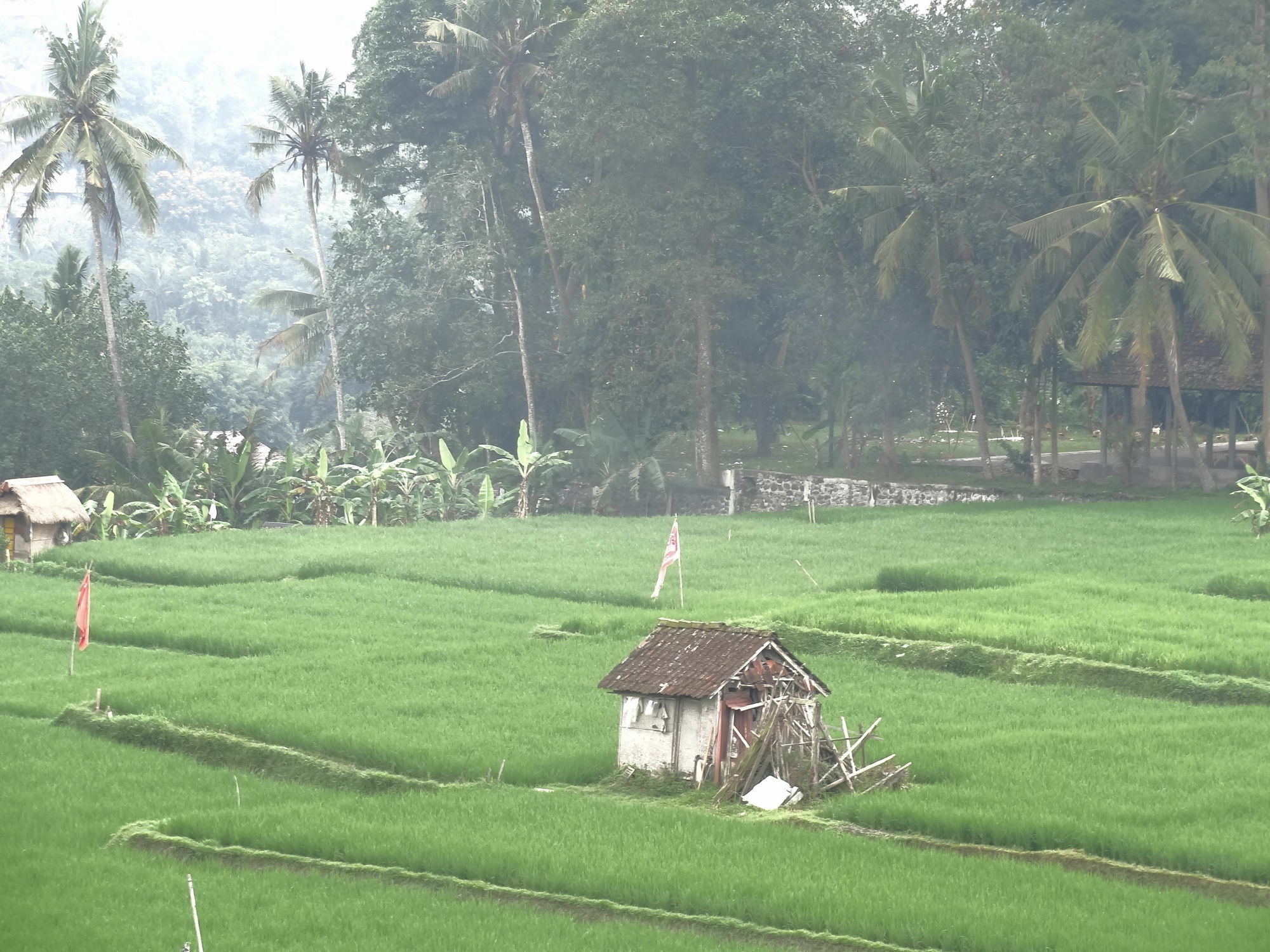 Hibiscus Cottages Ubud  Bagian luar foto
